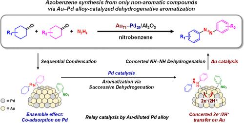Azobenzene Synthesis from Only Nonaromatic Compounds via Catalytic Dehydrogenative Aromatization