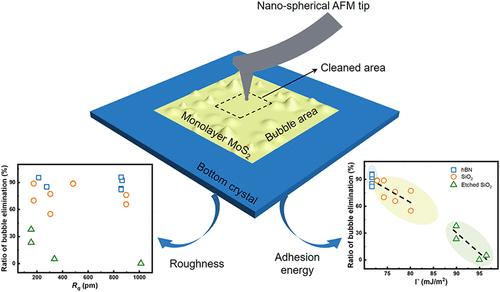 Effective Interfacial Bubble Elimination in 2D Heterostructures via Atomic Force Microscope
