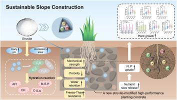 A novel struvite-modified planting concrete for sustainable slope protection and environmental restoration