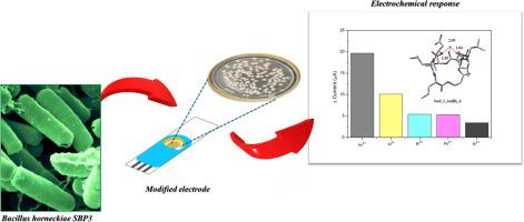 Bacteria derived bioactive compounds: A valuable tool for the electrochemical detection of arsenic (III) ions in contaminated water