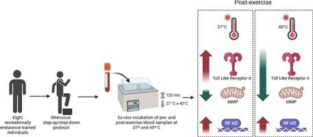 Effects of acute heat exposure on monocyte phenotype following exhaustive exercise: An ex vivo study