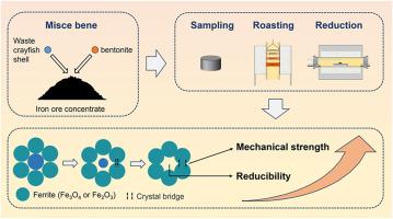 Waste crayfish shell addition improves mechanical strength and reducibility of hematite briquettes