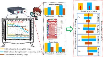 Electrokinetic treatment at the thermophilic stage achieves more effective control of heavy metal resistance in swine manure composting