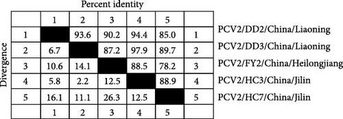 Investigating the Presence and Genetic Variability of Porcine Circovirus Types 2 and 3 in Live Markets in Border Cities of Northeast China