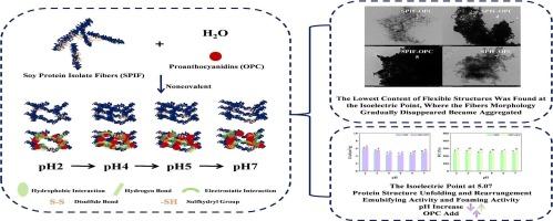 Mechanism of dynamic noncovalent bonding changes between soy protein isolate fibrils and proanthocyanidins: A pathway for pH tunning
