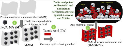 Montmorillonite modified with Fe3O4 and tannic acid for inhibition of S. aureus and MRSA biofilm formation