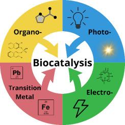 Bridging biocatalysis and chemical catalysis: Innovative approaches for enhancing chemoenzymatic cascades