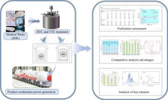Energy recovery and critical element immobilization in medical waste-derived fuel: hydrothermal vs. vapor thermal carbonization
