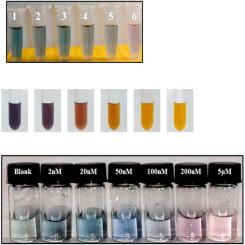 A novel colorimetric lead ion detection method using lead-2′3-dimercaptosuccinic acid chelates to catalyze etching of gold nanostars