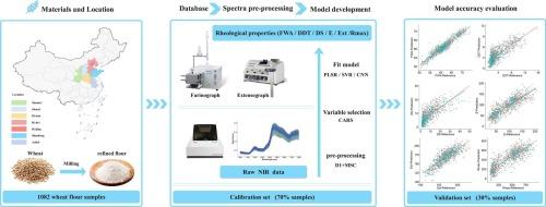 Rapid evaluation of Farinograph and Extensograph characteristics in bread wheat using near-infrared spectroscopy and chemometrics