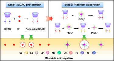 A mechanistic study of the efficient adsorption for platinum(IV) by amino-functionalized calix[4]arene
