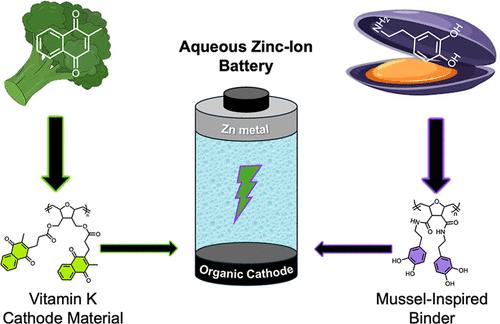 Bio-Derived Electrodes Based on a Vitamin K Cathode Material and a Mussel-Inspired Binder for Sustainable Aqueous Zinc-Ion Batteries