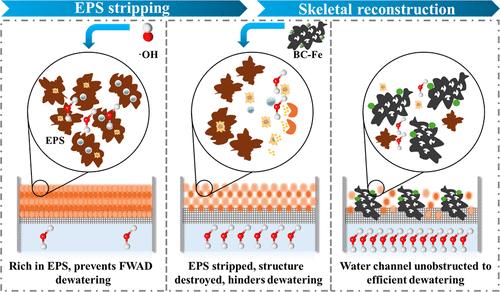 Novel Approaches for the Dewatering of Anaerobic Digestate from Food Waste: EPS Stripping Coupled Skeletal Reconstruction