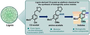 Modular synthetic routes to biologically active indoles from lignin†