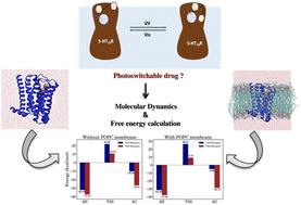 In search of a photoswitchable drug for serotonin receptors: a molecular dynamics simulation study†