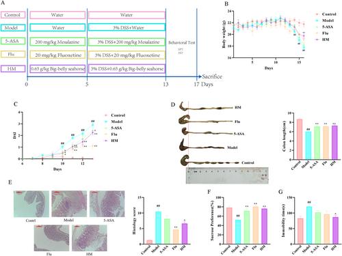 Seahorse Attenuated DSS-Induced Depression in Mice by Inhibiting Neuroinflammation and Ferroptosis
