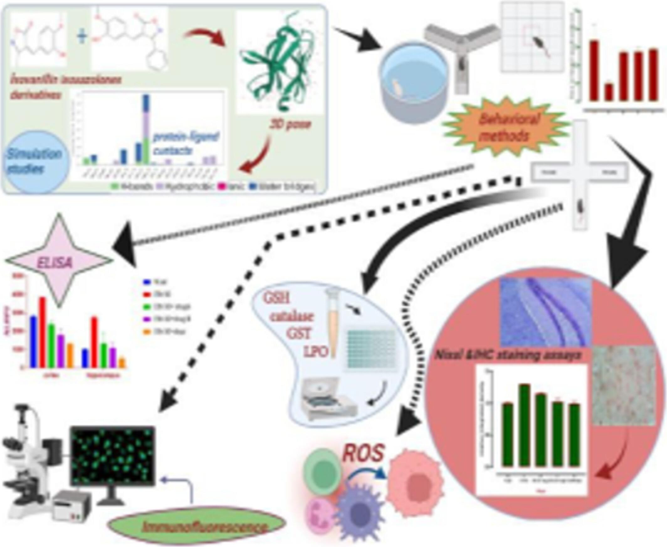 Synthesis, Characterization, Molecular Dynamic Simulation and Neuroprotective Effects of Synthetic Isoxazolone Derivatives in Ethanol-Induced Neurodegeneration