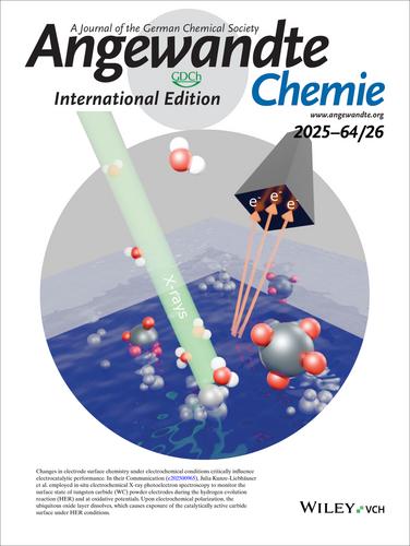Frontispiece: Surface Chemistry of WC Powder Electrocatalysts Probed In Situ with NAP-XPS