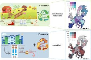 Mitigating nutrient losses in Europe: Synergistic solutions for air and water pollution by 2050