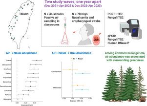 Associations between children's upper respiratory tract mycobiome, school air mycobiome, and surrounding greenness
