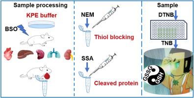 Sensitive enzymatic cycling assay for glutathione and glutathione disulfide content