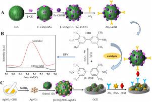 A sandwich-type electrochemical immunosensor for cardiac troponin I based on β-cyclodextrin functionalized 3D graphene incorporated with Ag nanoclusters