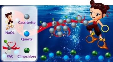 Application of poly aluminum chloride in cassiterite flocculation flotation