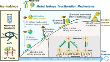 Sorption-induced metal isotope fractionation: Two decades of advances in methodologies, mechanisms, and kinetics
