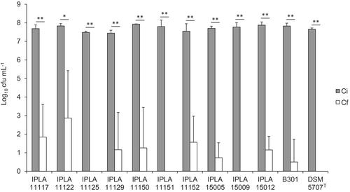 Lentilactobacillus parabuchneri—the main producer of histamine in cheese—survives the vat pasteurisation of milk