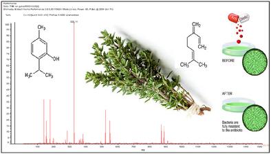 Phytochemical Characterization by Maldi-tof, Antioxidant and Antimicrobial Activities, and Action Mechanism of Tunisian Thymus Numidicus Extracts