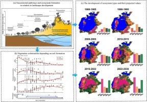 Vegetation colonization and biodiversity dynamics on the exposed Aral Sea bed: A 35 years investigation