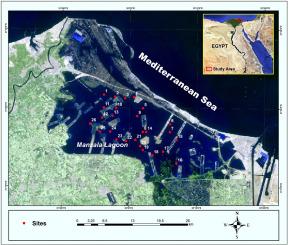 Ostracods as environmental indicators in Manzala Lagoon (NE Egypt)