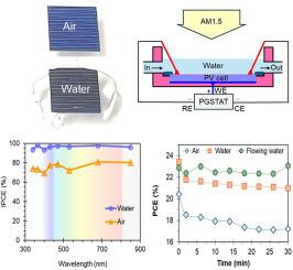 Water-driven photovoltaics: Enhancing performance through water media in the active layer