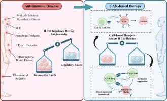 Chimeric antigen receptor cell therapy: A revolutionary approach transforming cancer treatment to autoimmune disease therapy
