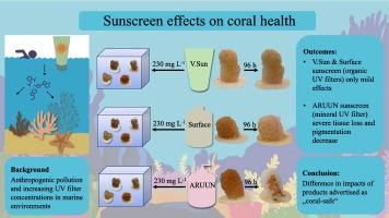 Effects of three sunscreens on the ecophysiology of hard and soft corals from the Maldives