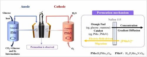 Crossover permeation of catalysts and organic fuels through proton exchange membrane in liquid catalytic fuel cells