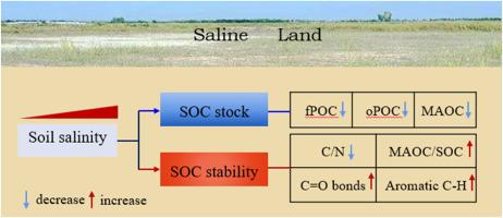 Salinity decreases the soil organic carbon stock while increasing its stability: A case study in the coastal region of China