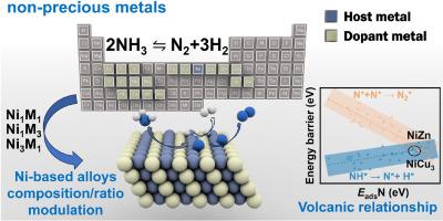Decoding ammonia decomposition: Screening and mechanistic insights into non-precious Ni-based alloy catalysts