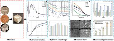 Synergistic effects of sewage sludge ash and limestone in cement-based composites: hydration kinetics and mechanical performance†
