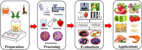Innovations in Edible Packaging Films, Coatings, and Antimicrobial Agents for Applications in Food Industry