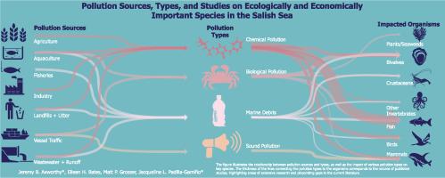 Effects of pollution on ecologically and economically important organisms of the Salish Sea