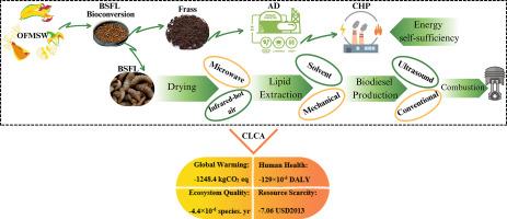Environmental sustainability assessment of a biorefinery platform utilizing black soldier Fly larvae for organic waste valorization
