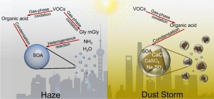 Chemical characterization of atmospheric aerosols in spring Shanghai: Formation mechanism of secondary organic aerosols on Asian dust surface