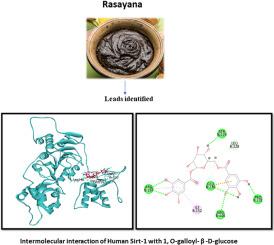 Identification of 1-O-Galloyl -β-D-glucose as a potent activator of Sirtuin-1: an in-silico study