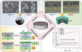 Upcycling waste MoSi2 into high-performance composite coatings for protecting refractory alloys across a wide temperature range