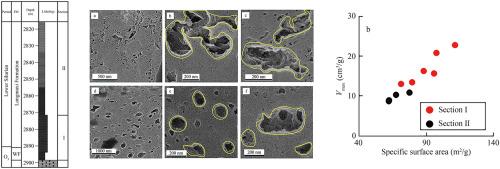 Organic pore heterogeneity and its impact on absorption capacity in shale reservoirs in the Wufeng and Longmaxi formations, South China