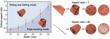 Insights into the structural features of crumpling graphene nanoribbons†