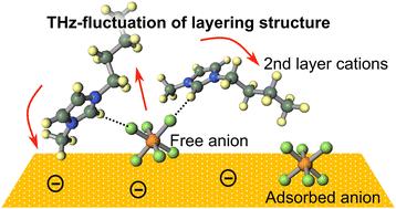 Structures and terahertz dynamics of an imidazolium-based ionic liquid on a gold electrode studied using surface-enhanced Raman scattering†