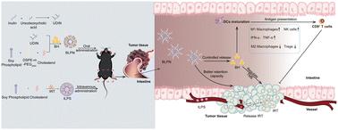 A prebiotic inulin derivative-containing liposome for oral berberine delivery improves the orthotopic colorectal cancer chemotherapy†