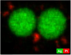 Enhanced dissolution of silver nanoparticles (10 nm) in the presence of platinum nanoparticles (3 nm) causes increased cytotoxicity: mechanistic insight via transmission electron microscopy and X-ray powder diffraction